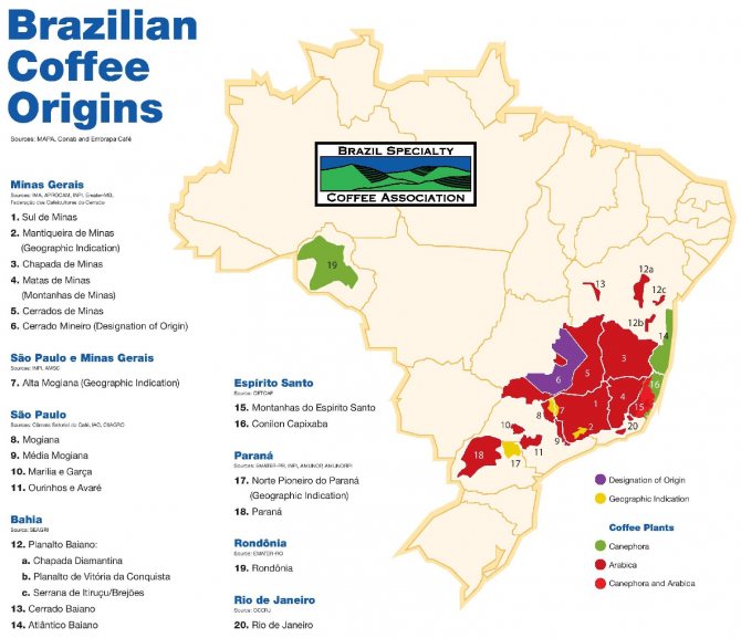 фото карты с регионами производства кофе в Бразилии