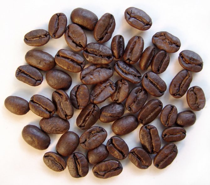 фото кофейных зерен арабика бурбон
