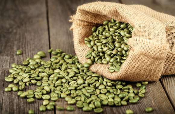 фото зеленых кофейных зерен из Уганды