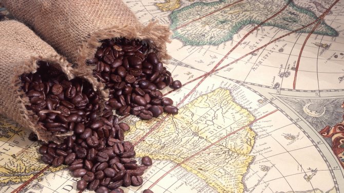 История возникновения кофе в Европе