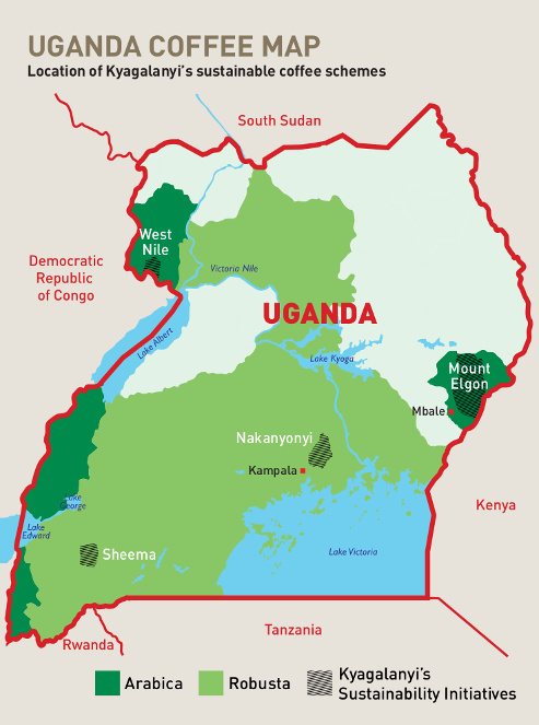 карта регионов выращивания кофе в Уганде