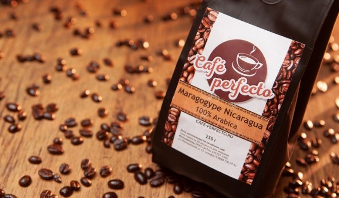 Кофе Марагоджип: особенности и территория выращивания