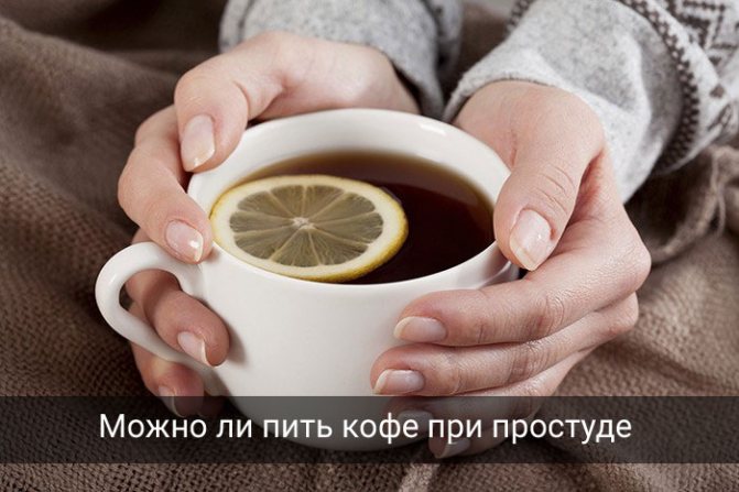 Кофе при простуде лучше пить с лимоном и медом