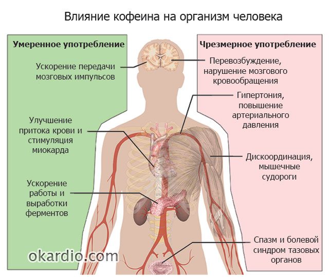 Кофе сужает или расширяет сосуды, особенности влияния - IllnessNews.ru о кардиологии