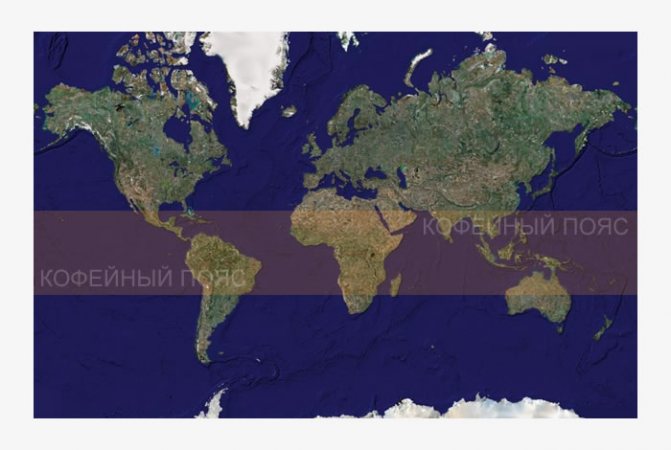 Кофейный пояс. Проекция на географическую карту Земли.
