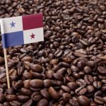 панамский флаг на фоне кофейных зерен