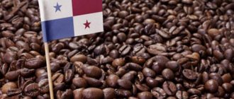 панамский флаг на фоне кофейных зерен