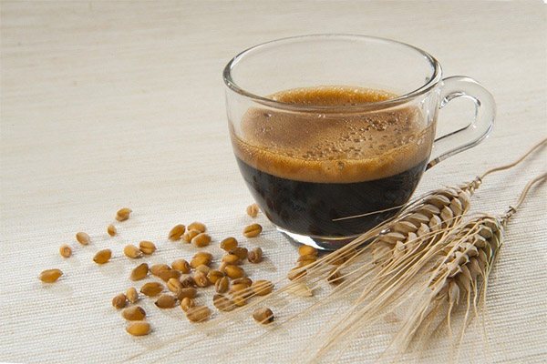 Польза и вред ячменного кофе