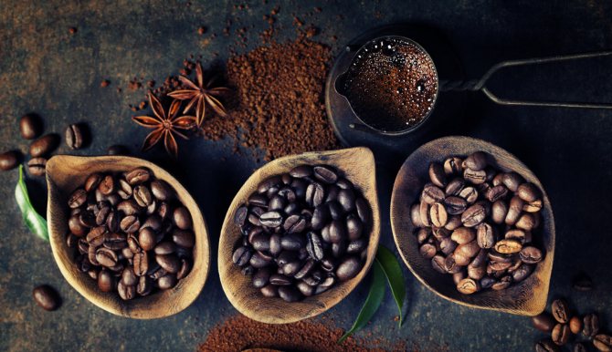 Сорта и виды зернового кофе, их характеристики и отличия