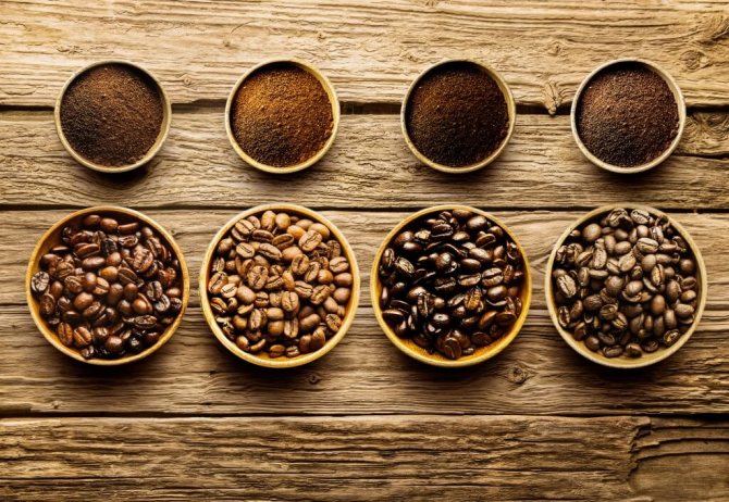 Сорта кофе - характеристики и различия