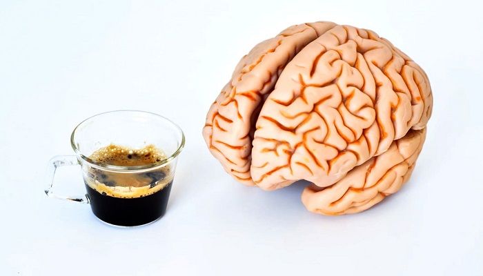 Влияние кофе на мозговую активность, фото